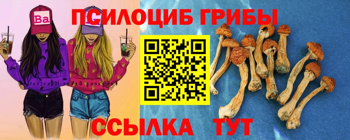 Галлюциногенные грибы MAGIC MUSHROOMS Ижевск