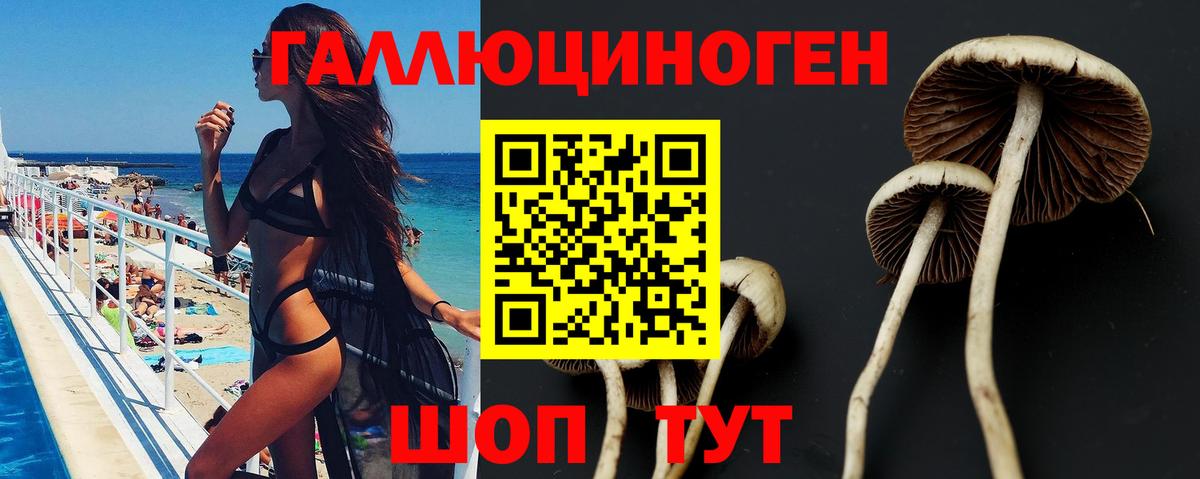 Ижевск  Галлюциногенные грибы Psilocybine cubensis  Вход с VPN 